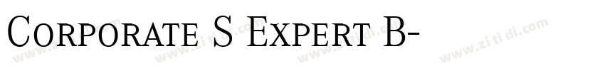 Corporate S Expert B字体转换